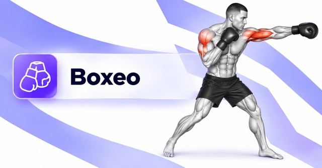 Ejercicios de Boxeo
